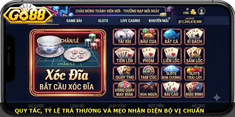 Bắt cầu xóc đĩa GO88 - ảnh 2