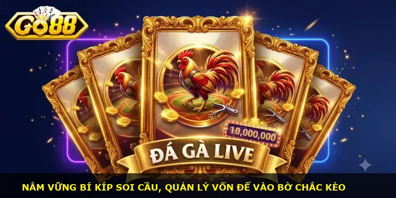 Đá gà Live GO88 - ảnh 3