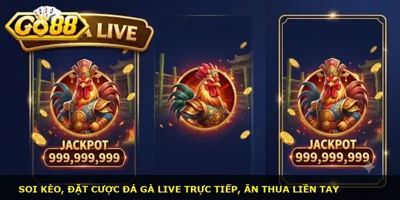 Đá gà Live GO88 - ảnh 2